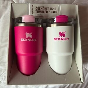 LIMITED EDITION Pink Stanley Flowstate Quencher 2 pack!!